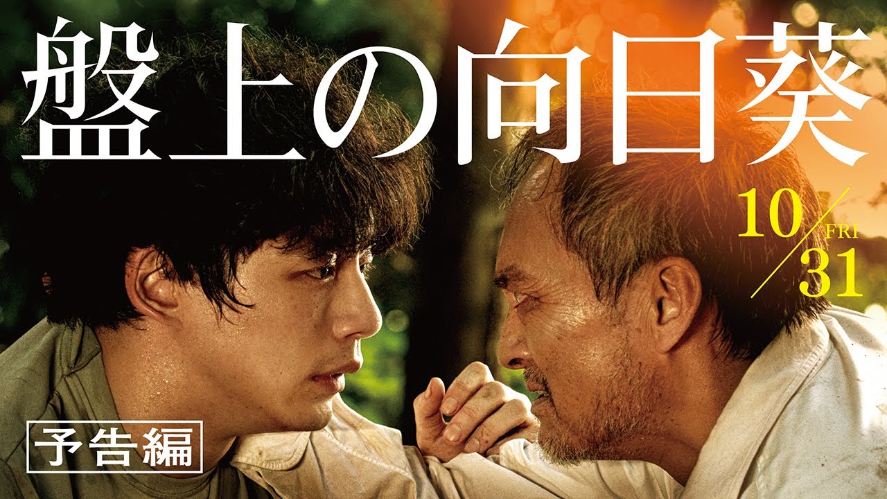 映画『盤上の向日葵』【予告編】10月31日（金）全国公開