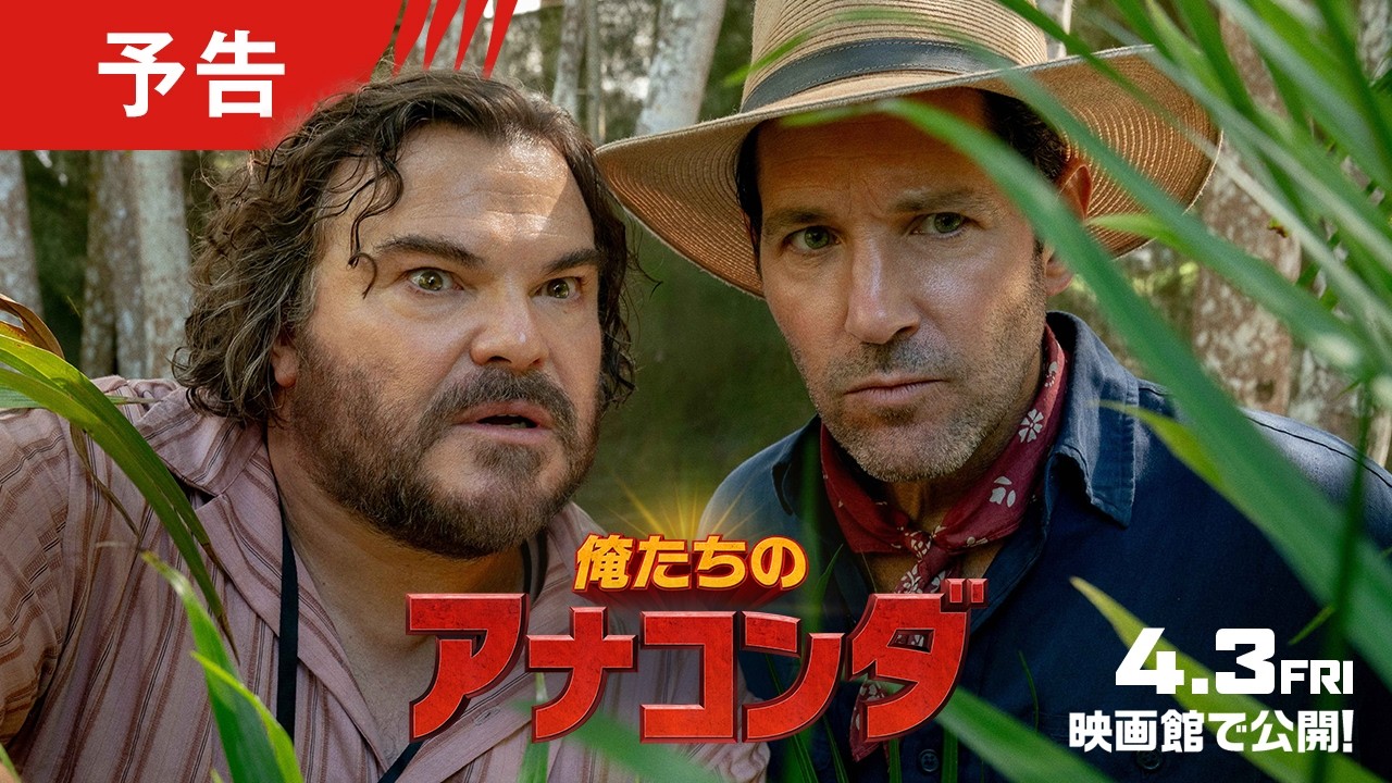 『俺たちのアナコンダ』４月３日（金）＜緊急＞公開！大好きな『アナコンダ』をリメイクしようとしたら…ホンモノの巨大ヘビに襲われる！？ジャック・ブラック＆ポール・ラッドからのメッセージも