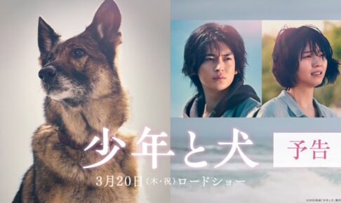 映画『少年と犬』予告映像【2025年3月20日(木・祝)公開】